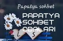 papatya sohbet